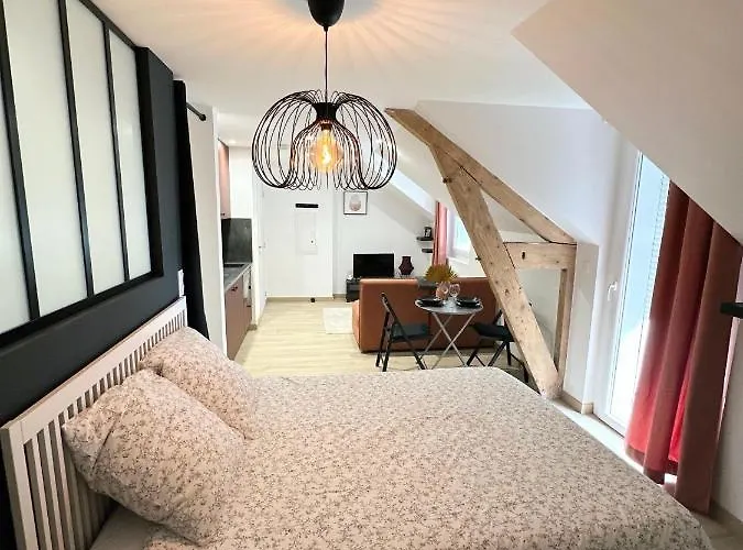 Sacre Appartement/Jardin/Parking/Wifi