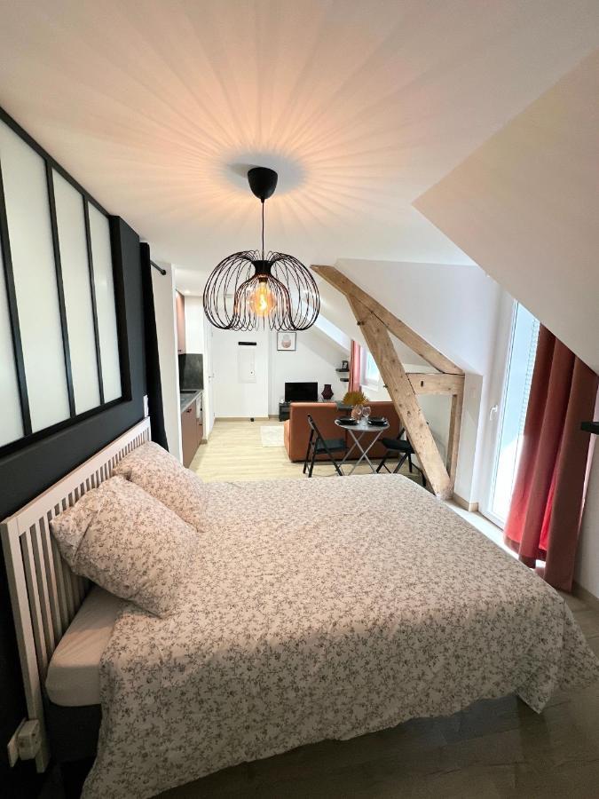 Appartement Sacre Appartement/jardin/parking/wifi Rodez